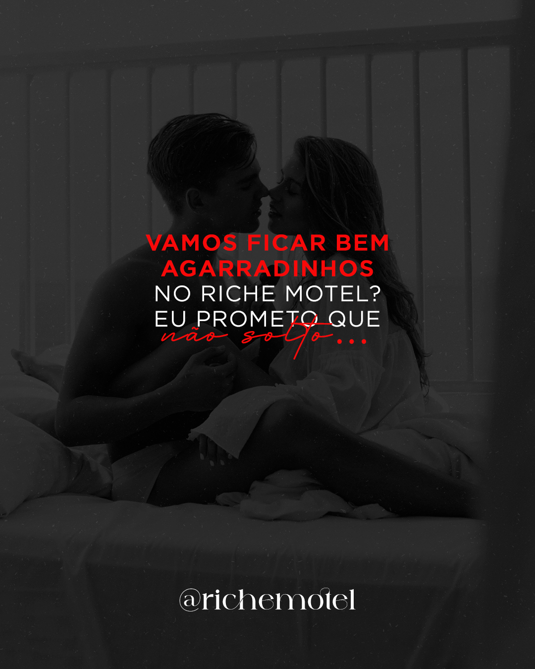 Feed